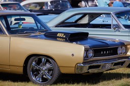 2018-08-11-Q67A9504