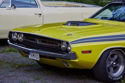 2018-08-29-Q67A0575
