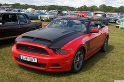 313 IMG_0685