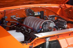 384 6F4B7485