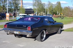 6F4B1134