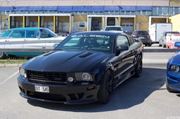 6F4B2959