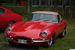 6F4B3403