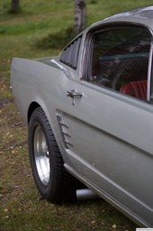 6F4B3404