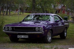 6F4B3411