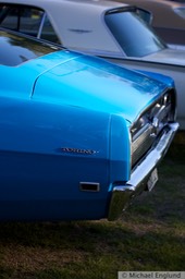 6F4B3446