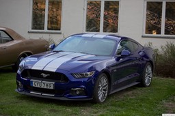 6F4B3504