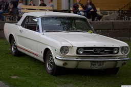 6F4B3507
