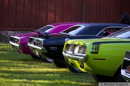 6F4B3508