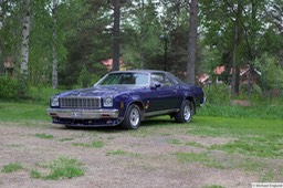 6F4B3525