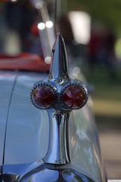 6F4B3874