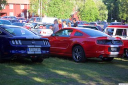 6F4B5291