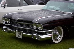 6F4B5829
