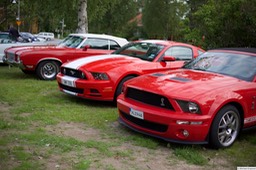 6F4B5939