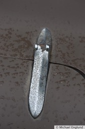 6F4B7750