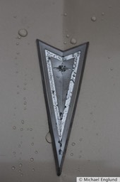 6F4B7771