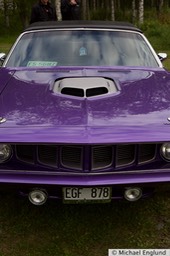 6F4B8120