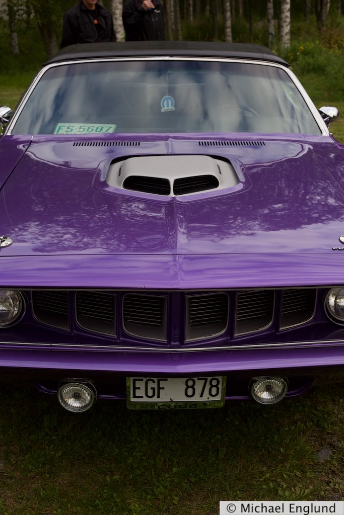 6F4B8120
