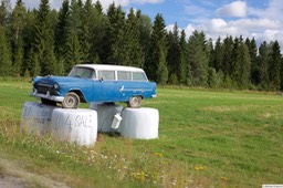 6F4B9545