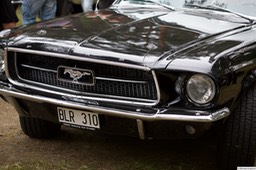 6F4B9896