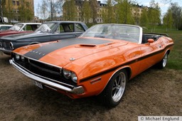IMG_8607.JPG