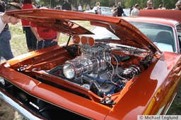 IMG_9500.JPG
