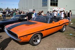 IMG_9503.JPG