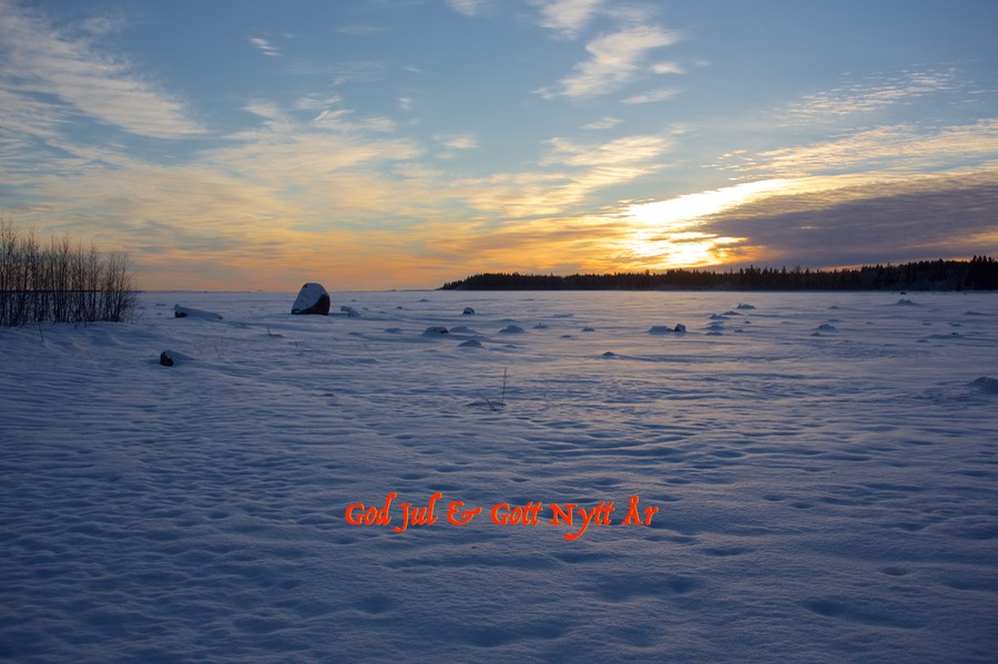 Julkort2014x