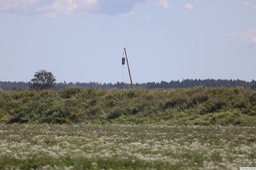 Q67A0367